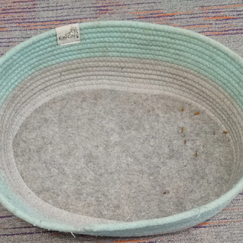 Mint and Gray Cat Bed